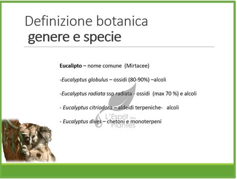 definizione botanica genere specie