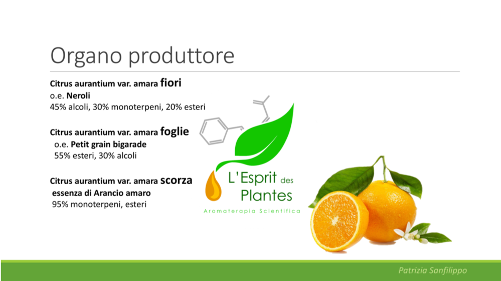 organo produttore