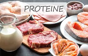 nutrizione - proteine