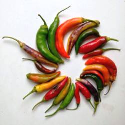 peperoncini